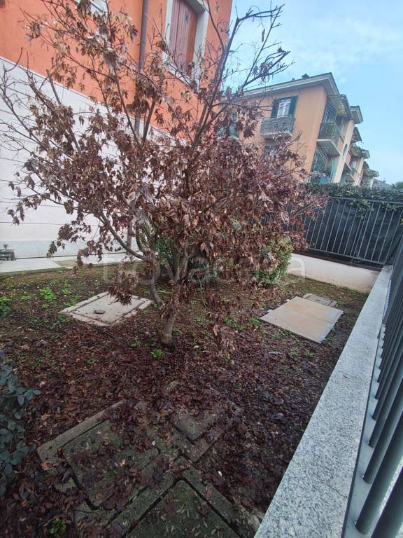 immagine annuncio 11 di 13