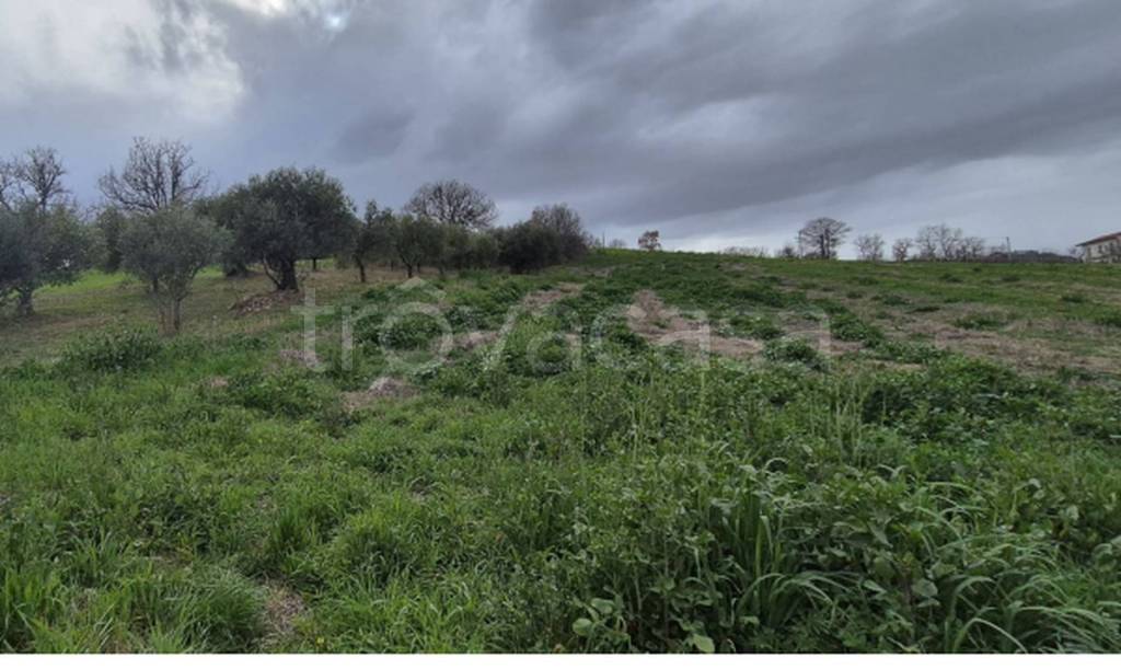 immagine annuncio 4 di 12