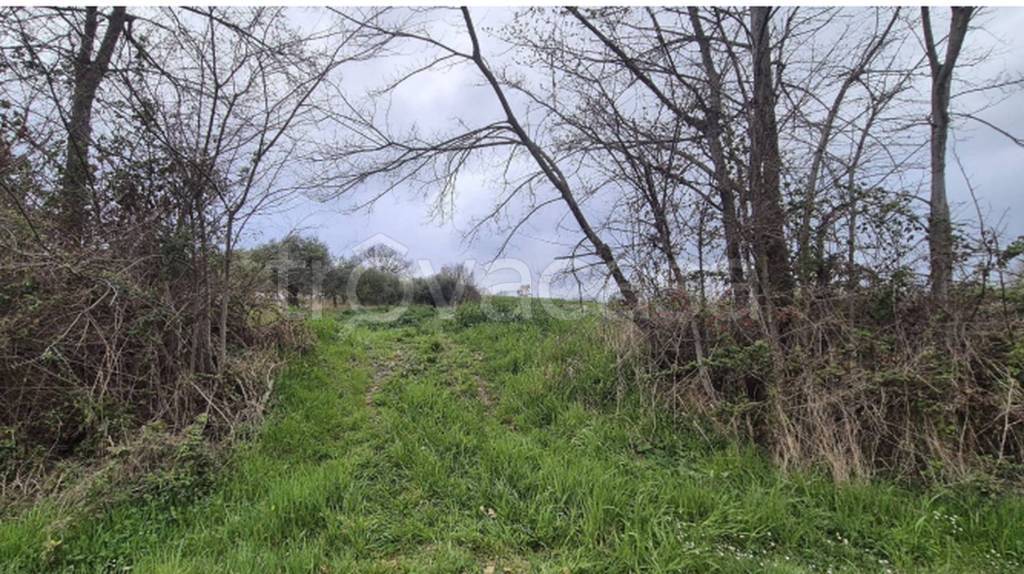 immagine annuncio 5 di 12