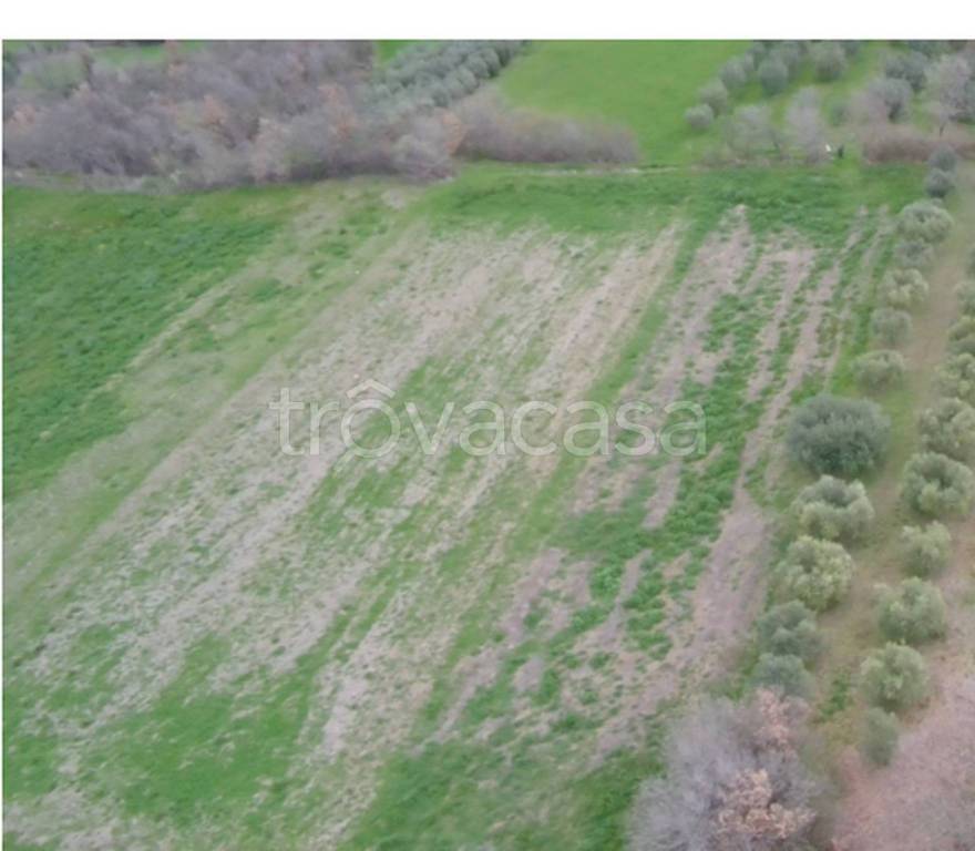 immagine annuncio 9 di 12