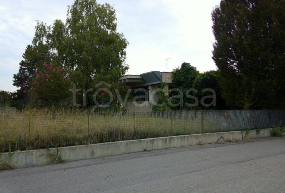 immagine annuncio 5 di 11