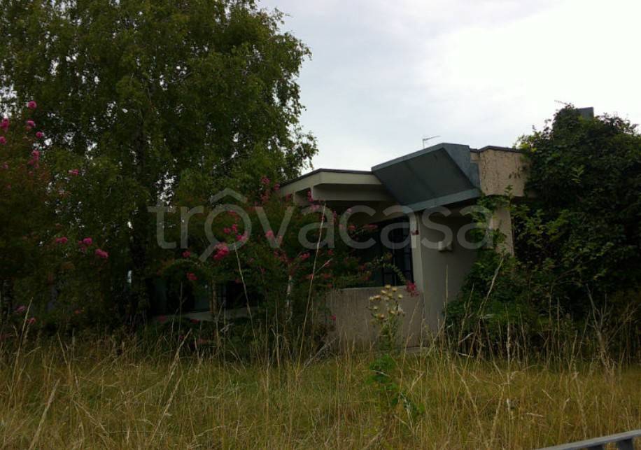 immagine annuncio 6 di 11