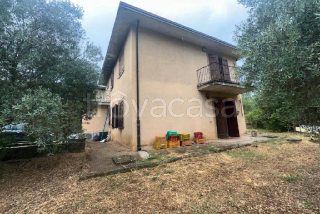 immagine annuncio 9 di 11