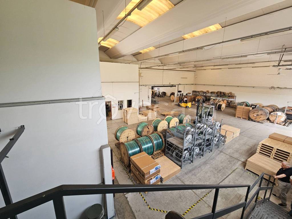 immagine annuncio 12 di 15