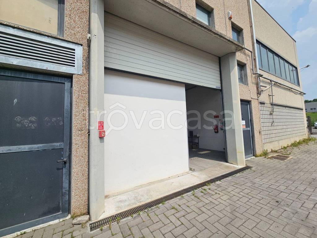 immagine annuncio 14 di 15