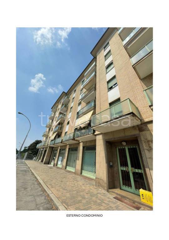 immagine annuncio 1 di 12