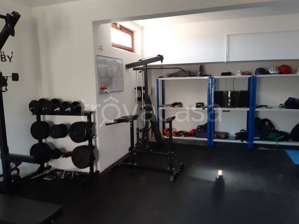 immagine annuncio 9 di 15