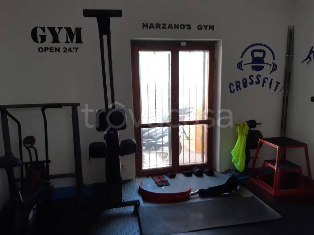 immagine annuncio 11 di 15