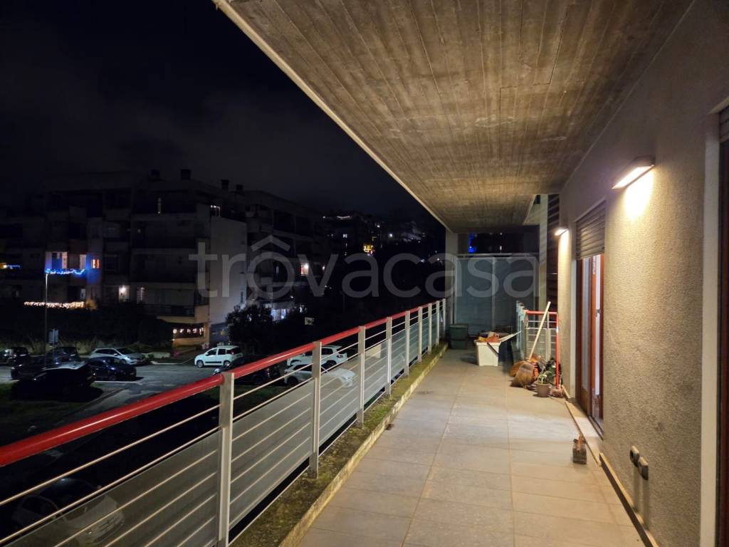 immagine annuncio 2 di 12