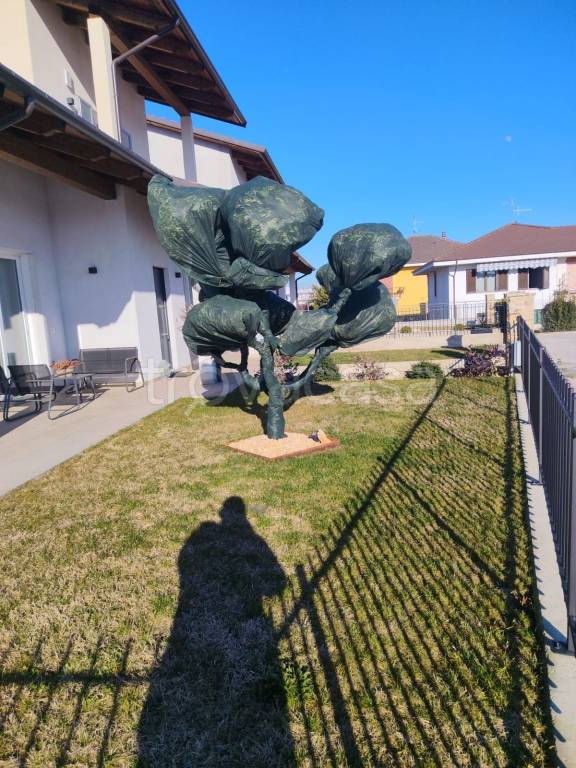 immagine annuncio 4 di 15