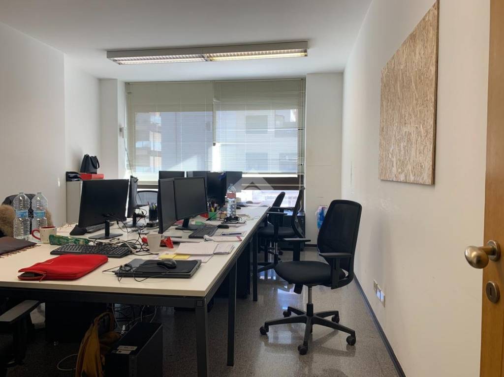 immagine annuncio 6 di 14