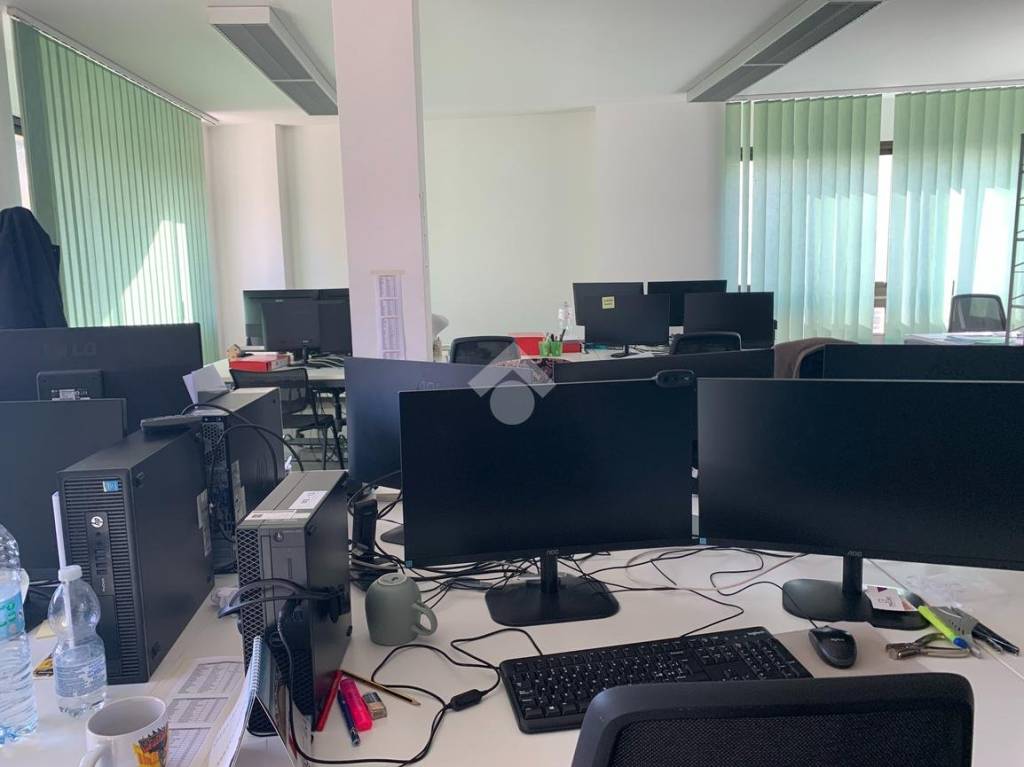 immagine annuncio 9 di 14