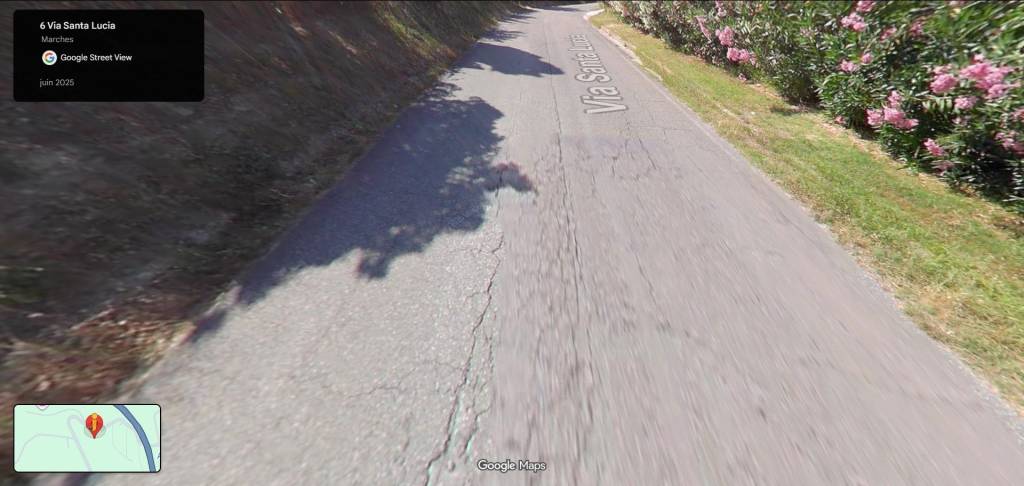 immagine annuncio 7 di 9