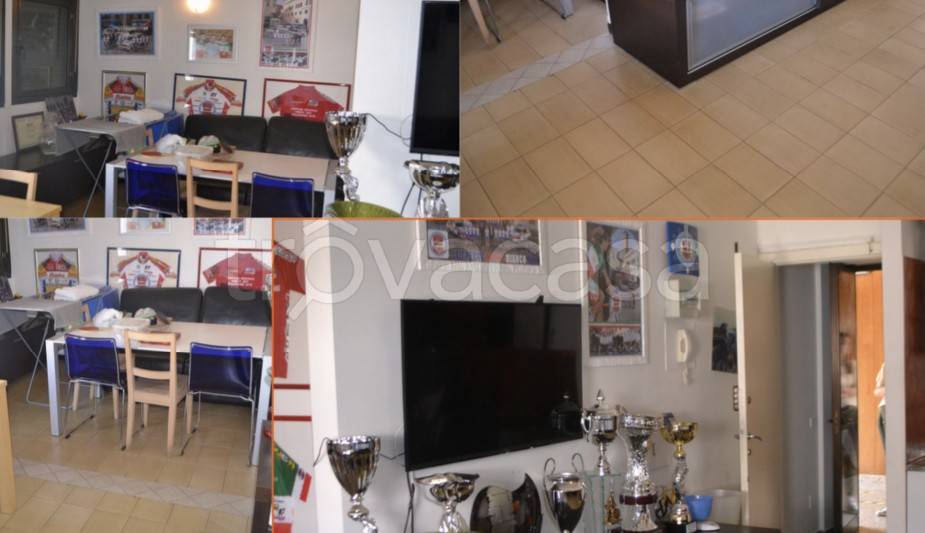 immagine annuncio 4 di 14