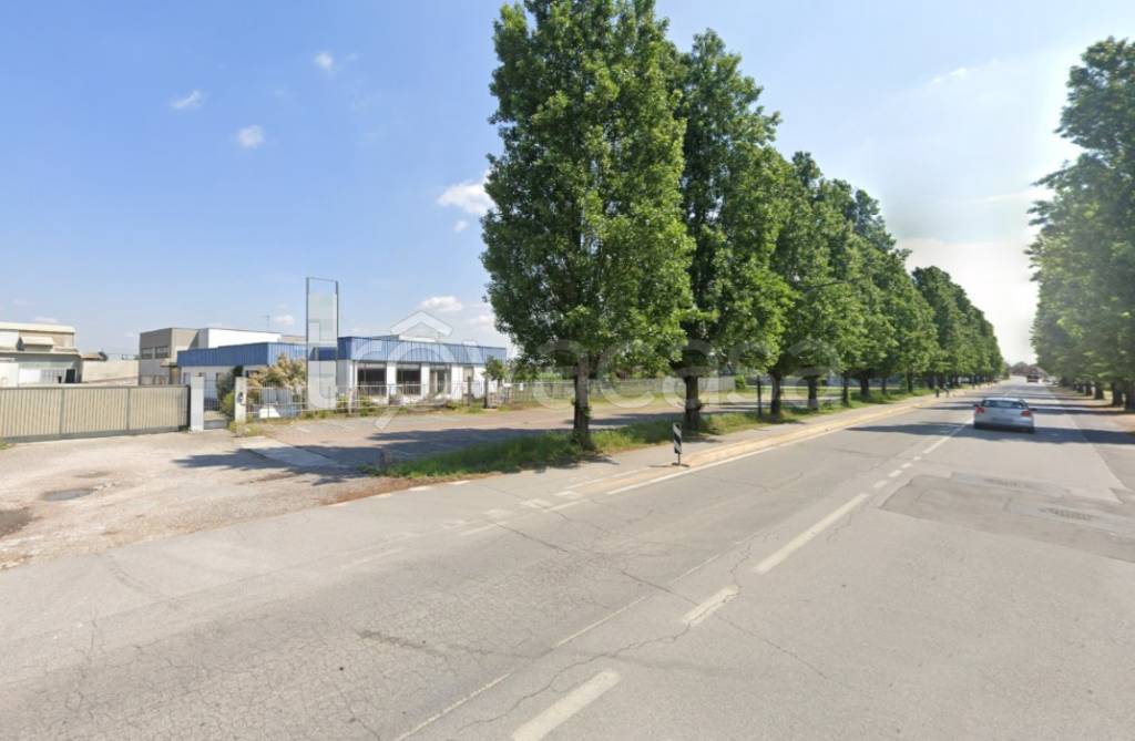 immagine annuncio 4 di 12