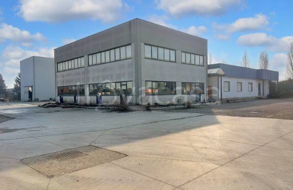 immagine annuncio 7 di 12