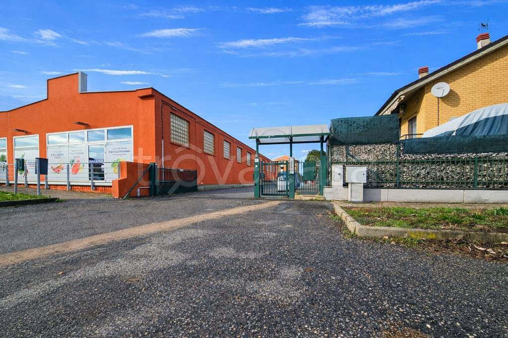 immagine annuncio 3 di 4