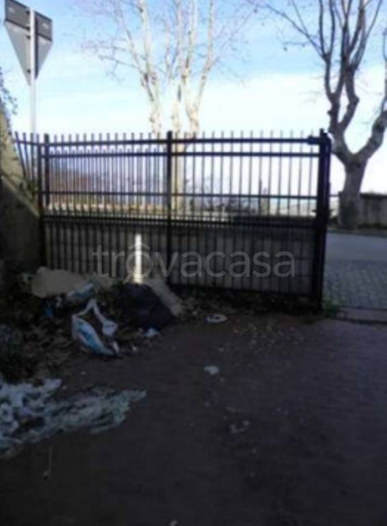 immagine annuncio 5 di 14