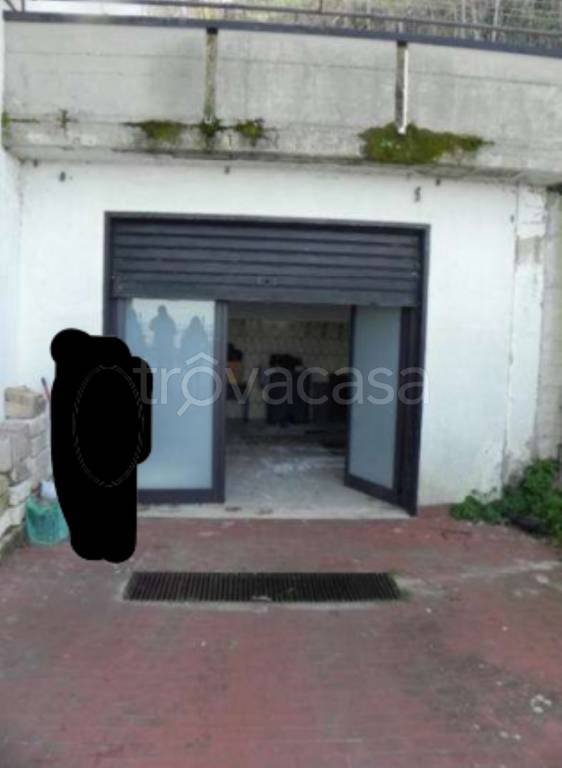 immagine annuncio 7 di 14