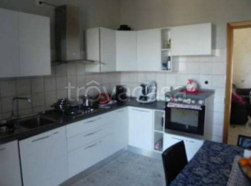 immagine annuncio 10 di 14