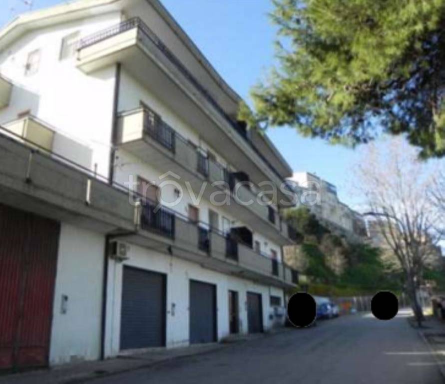 immagine annuncio 1 di 14