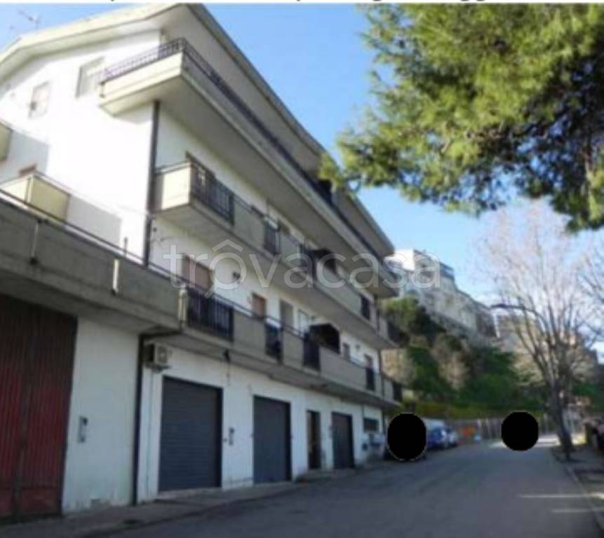 immagine annuncio 3 di 14