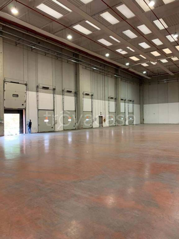 immagine annuncio 4 di 9