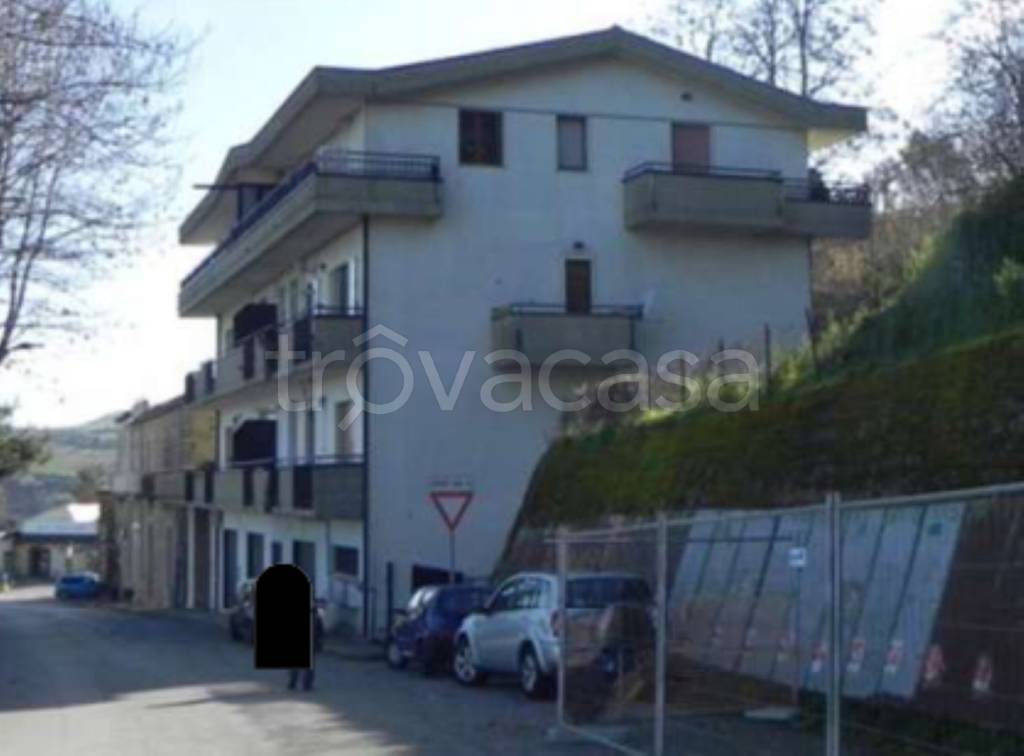 immagine annuncio 2 di 14