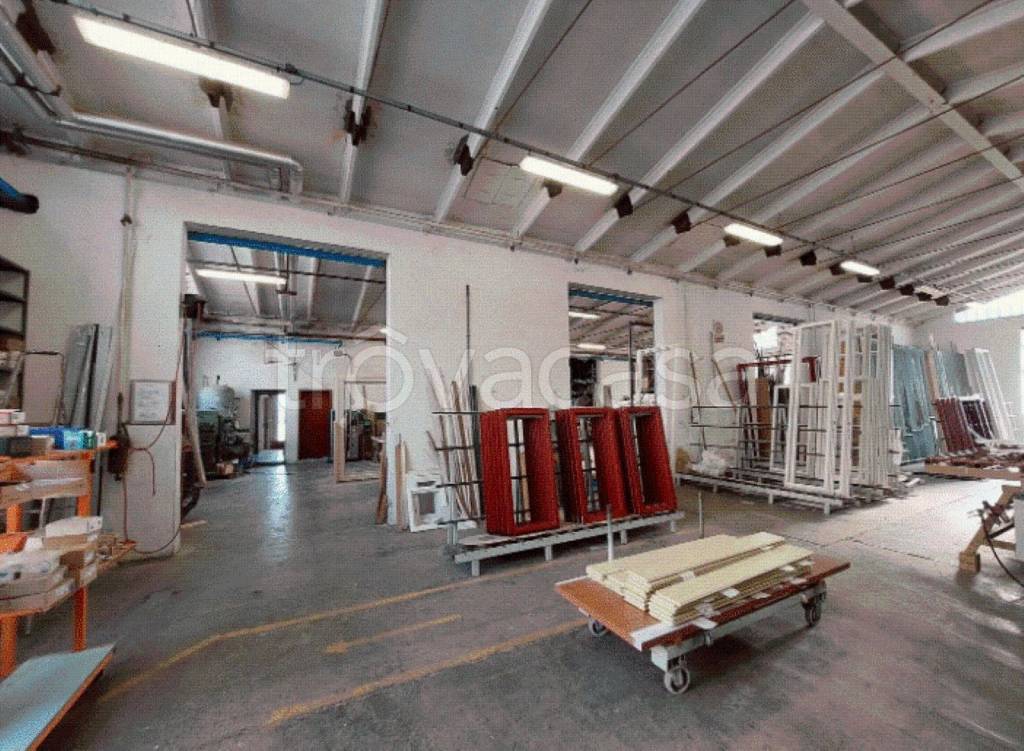 immagine annuncio 1 di 12