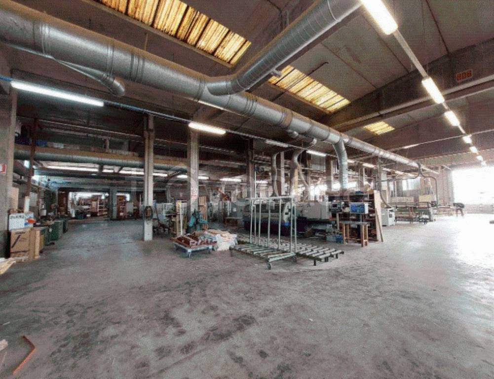 immagine annuncio 2 di 12