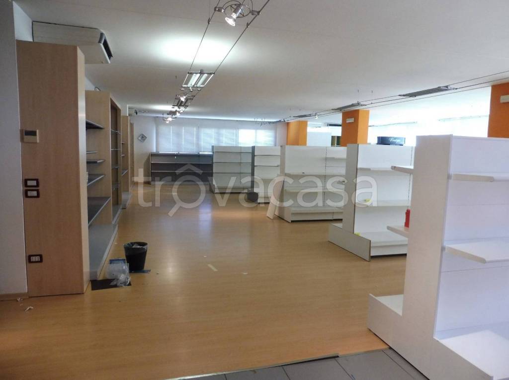 immagine annuncio 4 di 6