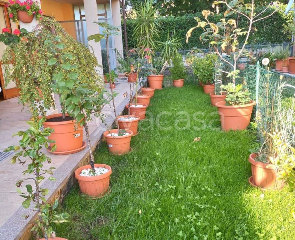 immagine annuncio 10 di 14