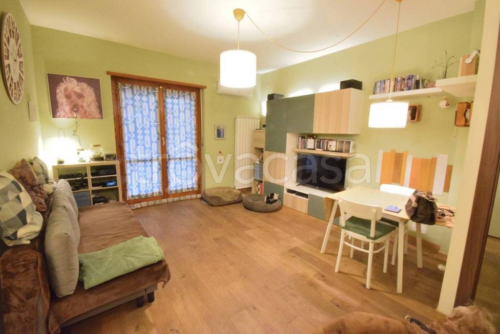 immagine annuncio 11 di 14