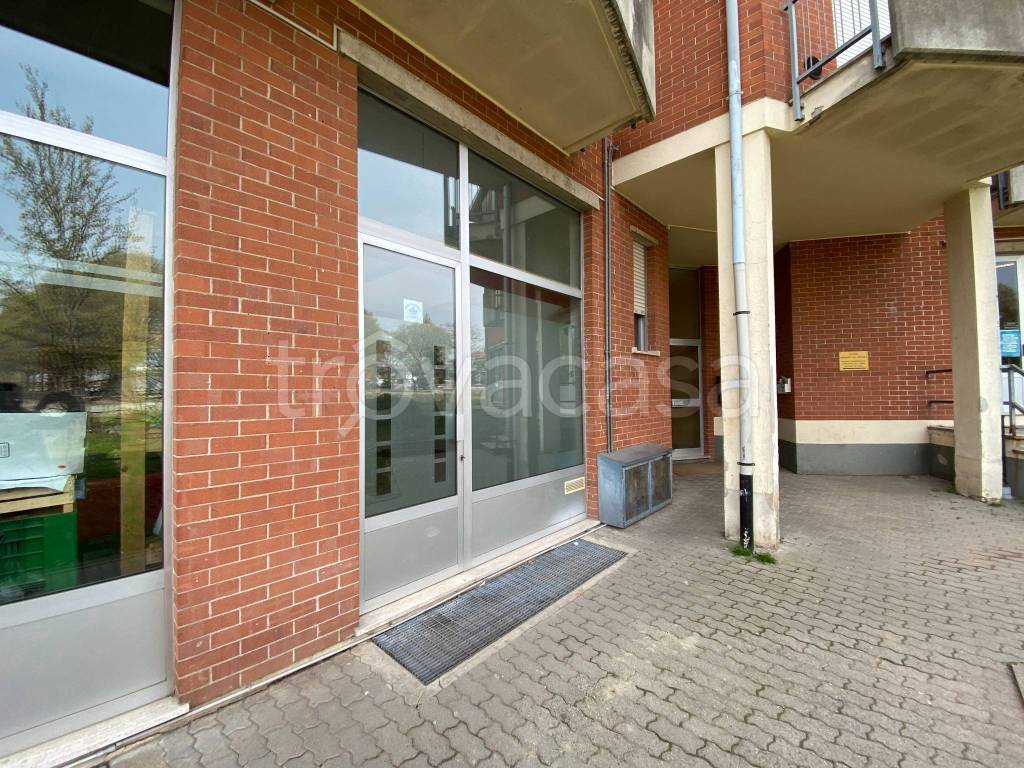 immagine annuncio 2 di 11