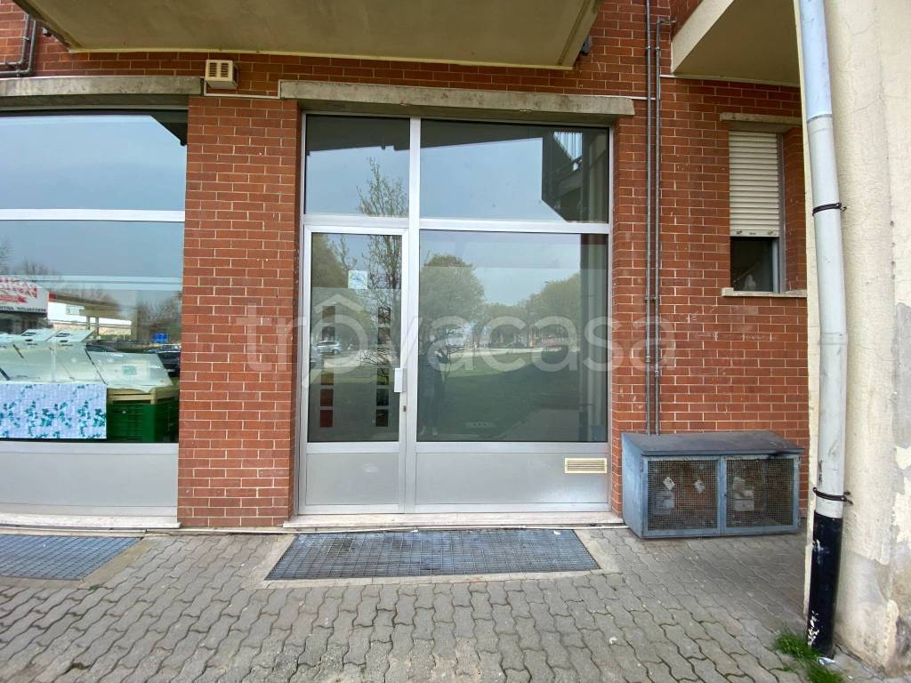 immagine annuncio 3 di 11