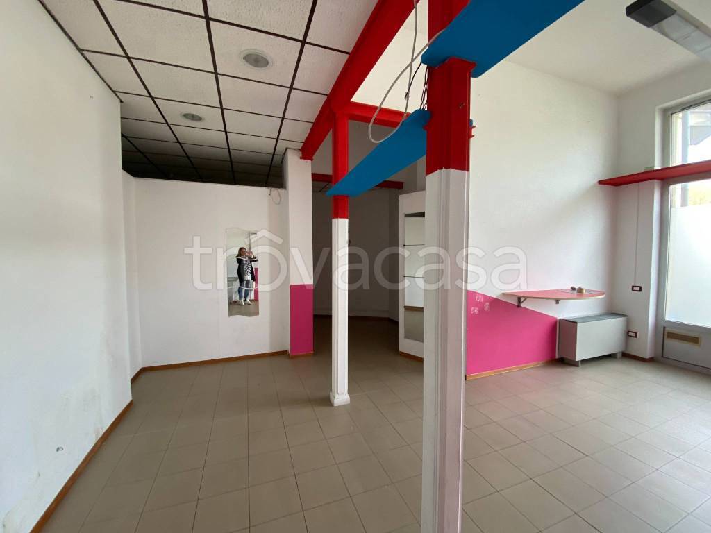 immagine annuncio 5 di 11