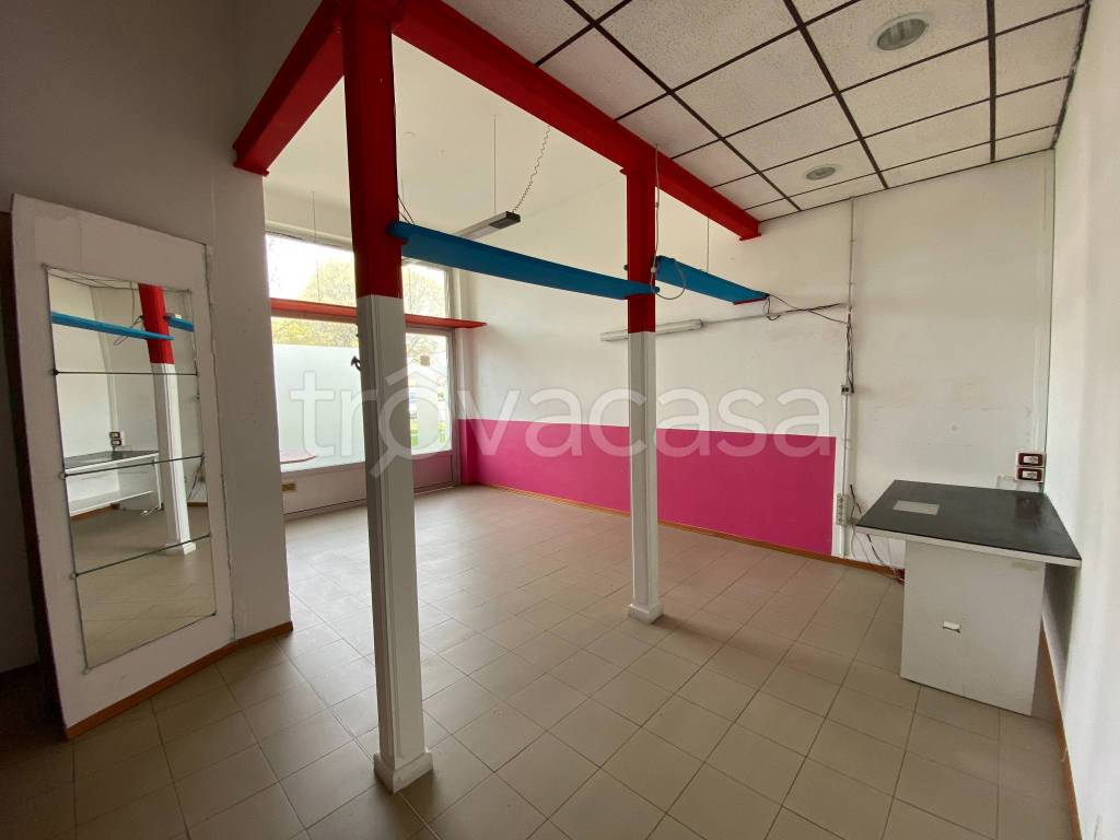 immagine annuncio 6 di 11