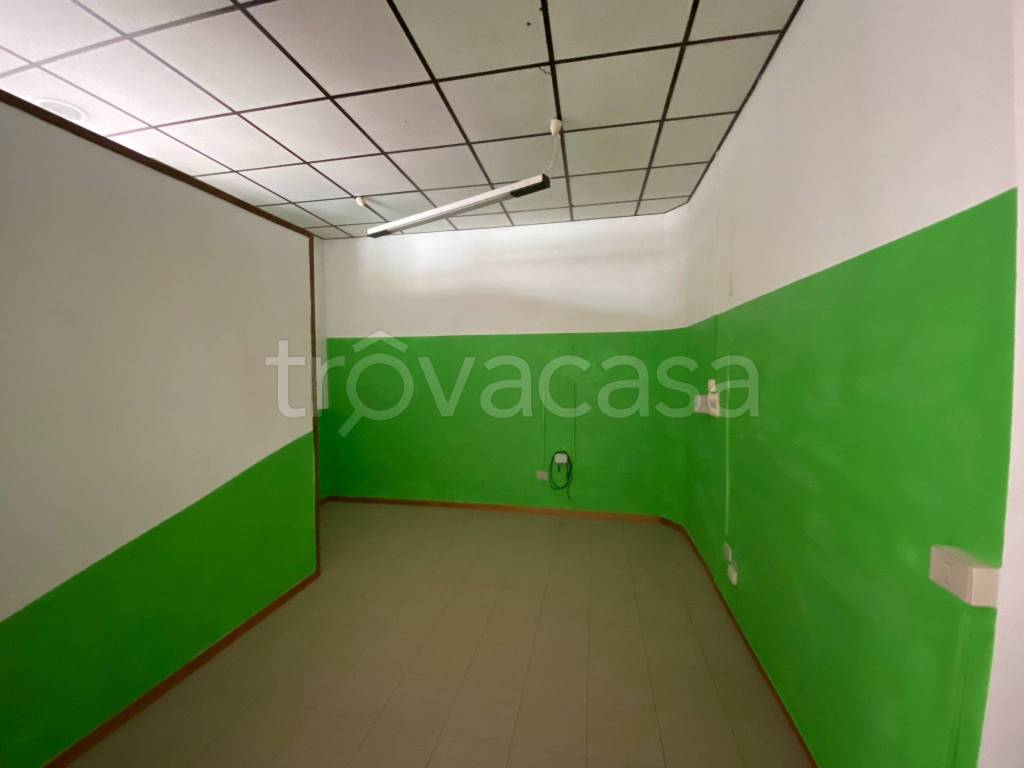 immagine annuncio 7 di 11