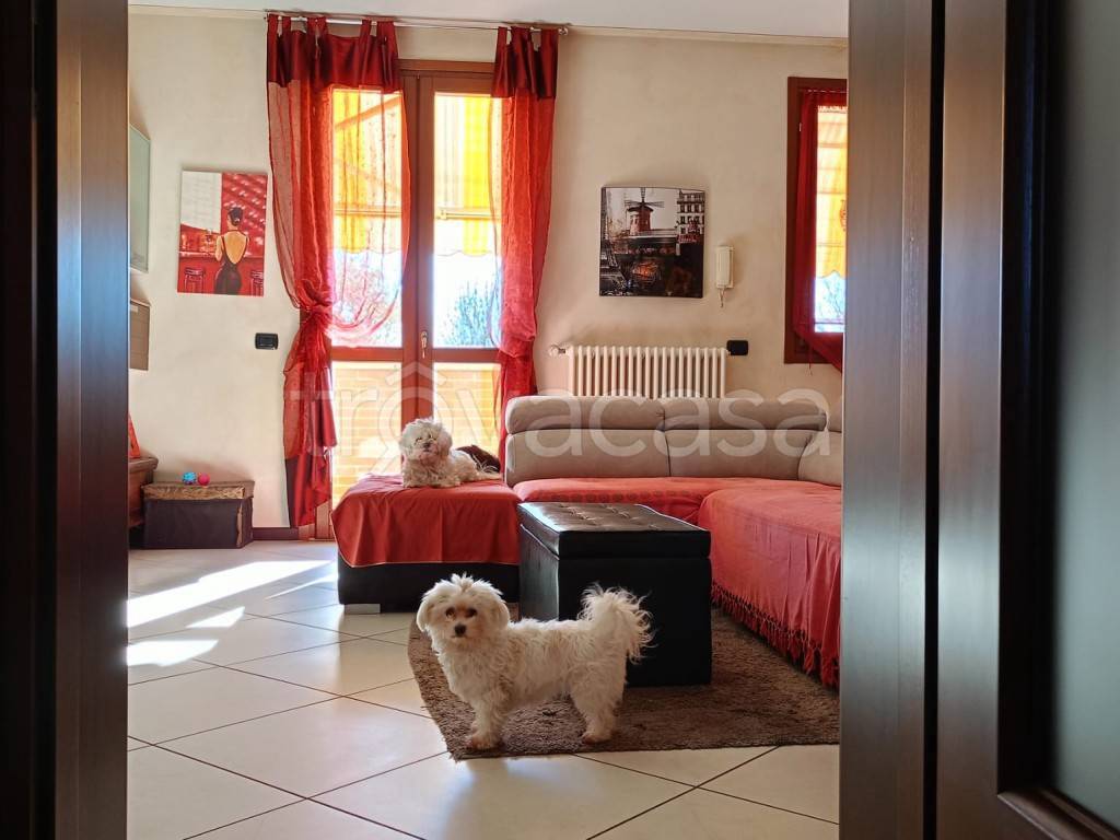 immagine annuncio 8 di 15