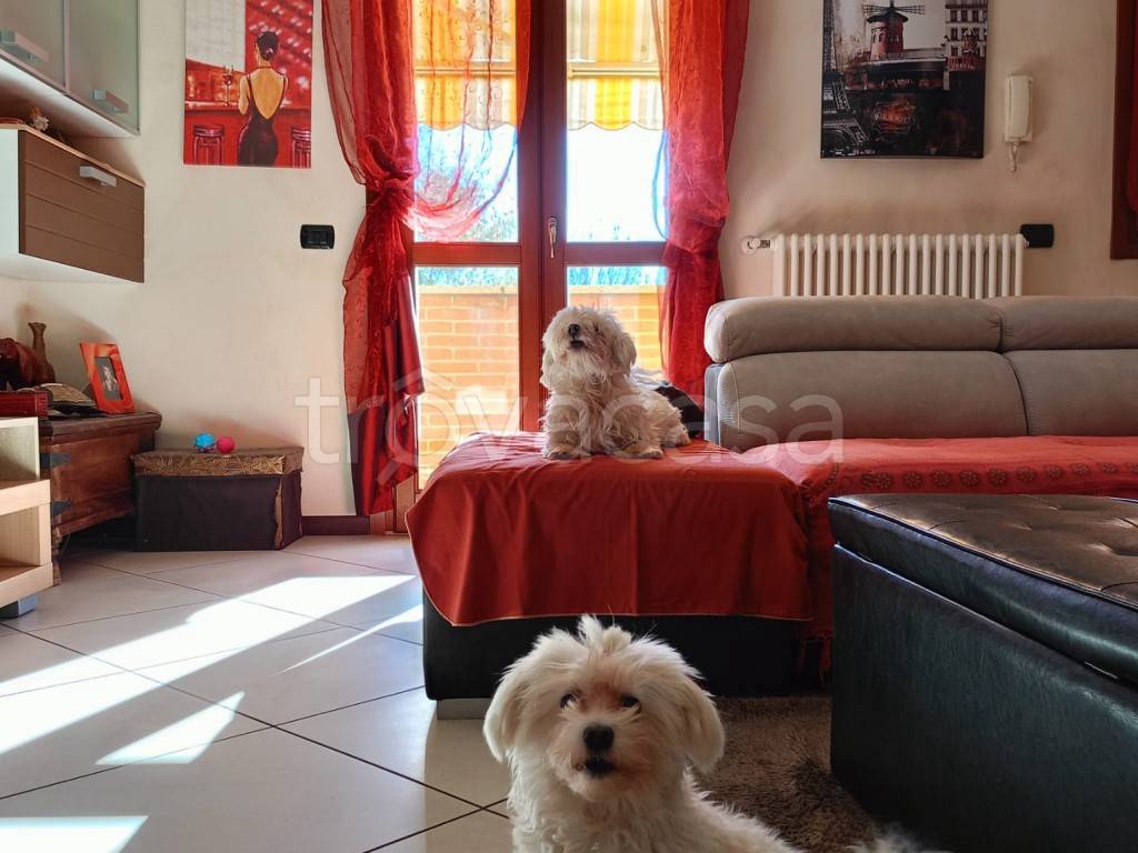 immagine annuncio 9 di 15