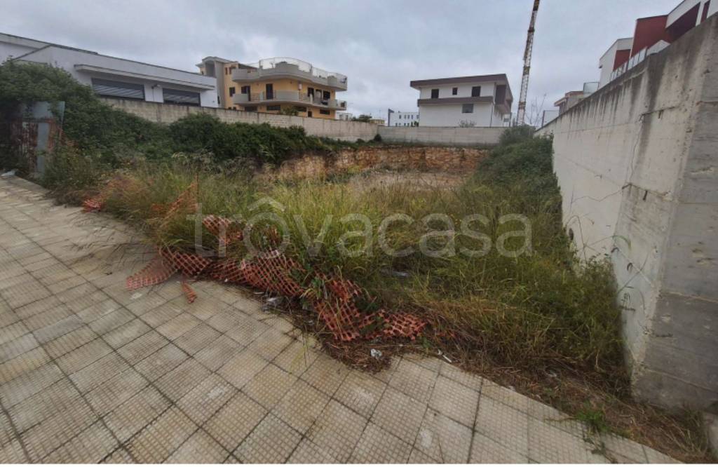 immagine annuncio 4 di 13