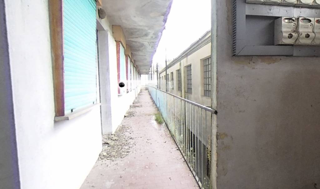 immagine annuncio 1 di 14