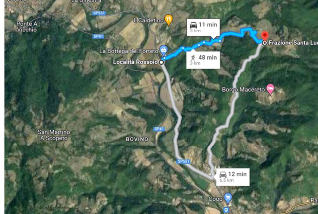 immagine annuncio 5 di 12