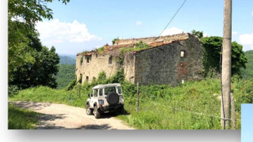 immagine annuncio 6 di 12