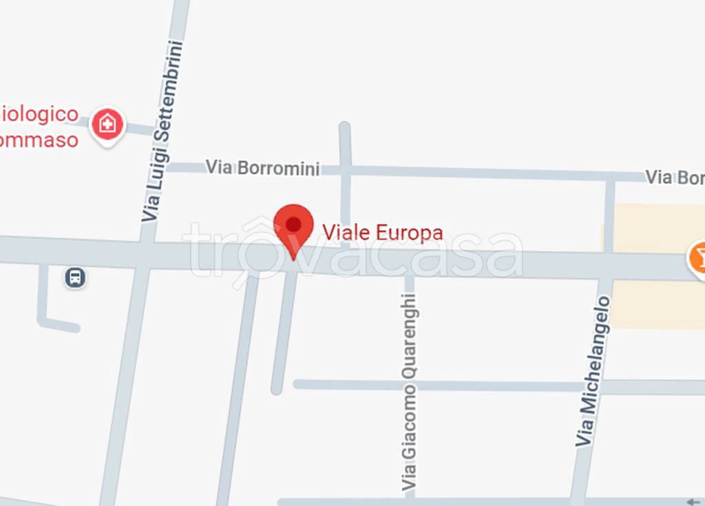 immagine annuncio 5 di 11