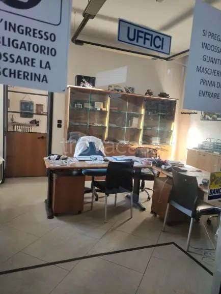 immagine annuncio 3 di 9