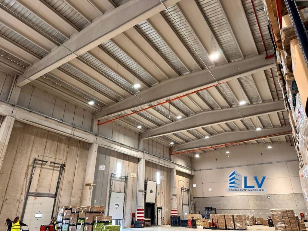 immagine annuncio 3 di 12