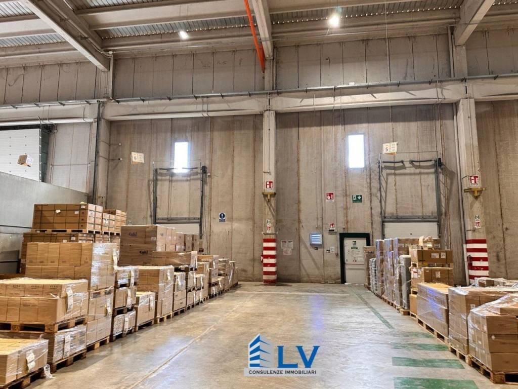 immagine annuncio 4 di 12