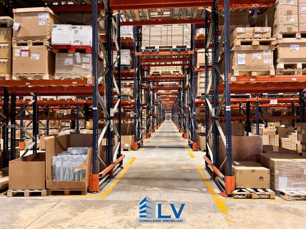 immagine annuncio 6 di 12