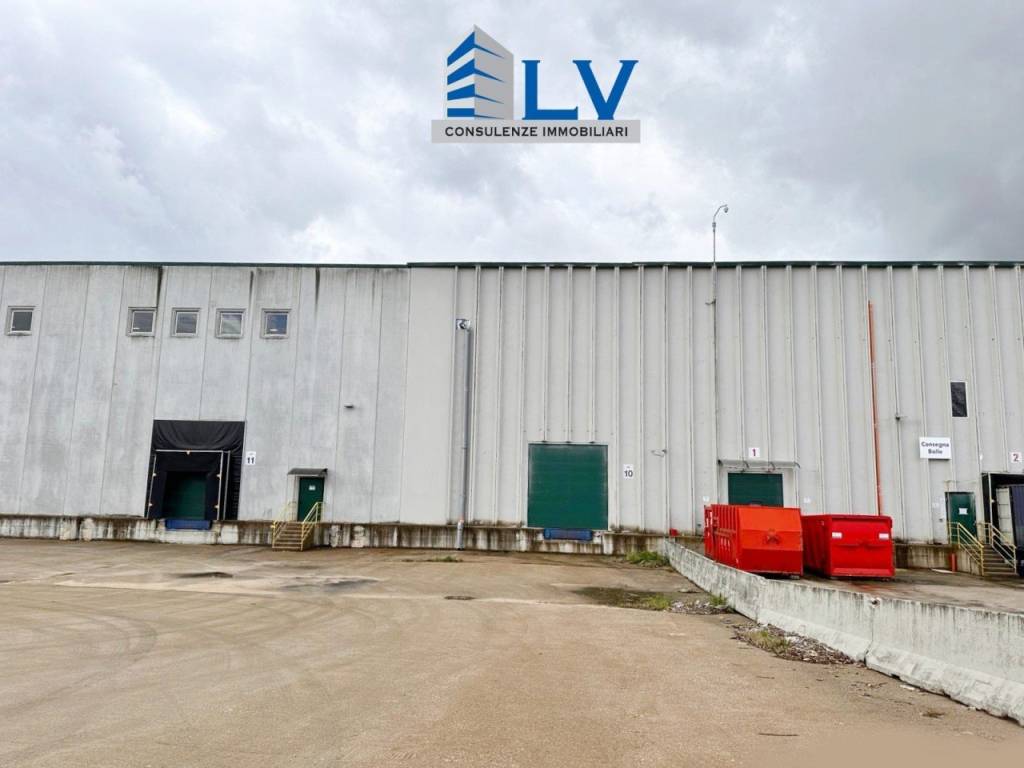 immagine annuncio 9 di 12